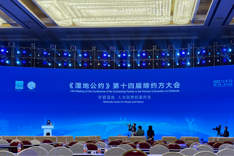 活动案例18.jpg