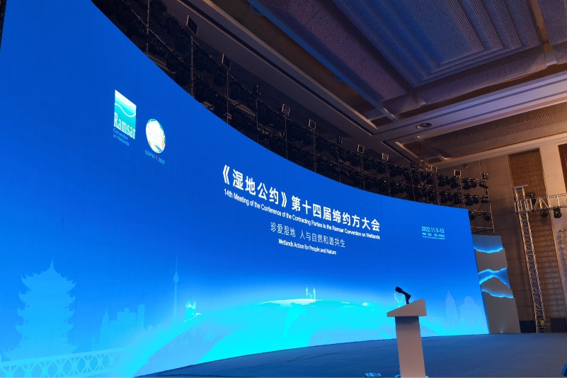 活动案例19.jpg
