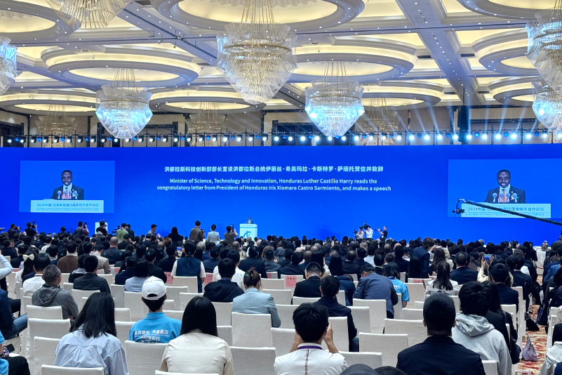 活动案例41.jpg